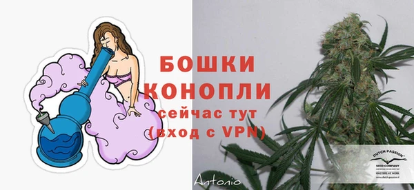 mdpv Елабуга