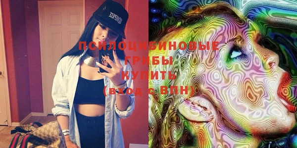 ГАЛЛЮЦИНОГЕННЫЕ ГРИБЫ Сосновоборск