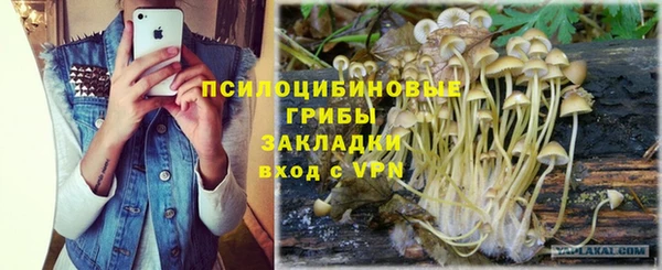 скорость mdpv Ельня